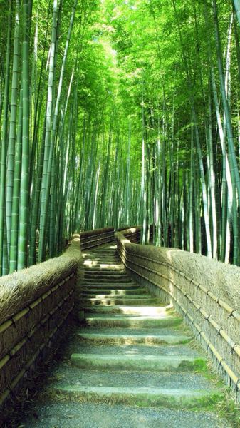 强迫症怎么自我调节的6个信号，中3个就该重视了